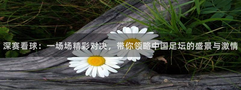 深赛看球：一场场精彩对决，带你领略中国足坛的盛景与激情