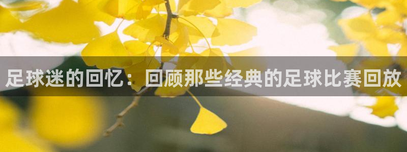  足球迷的回忆：回顾那些经典的足球比赛回放