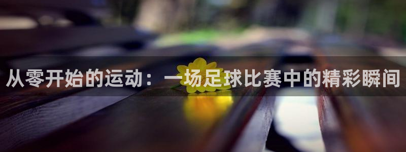  从零开始的运动：一场足球比赛中的精彩瞬间