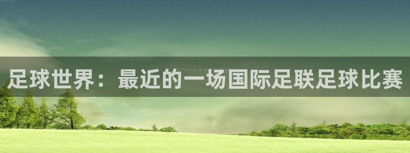  足球世界：最近的一场国际足联足球比赛
