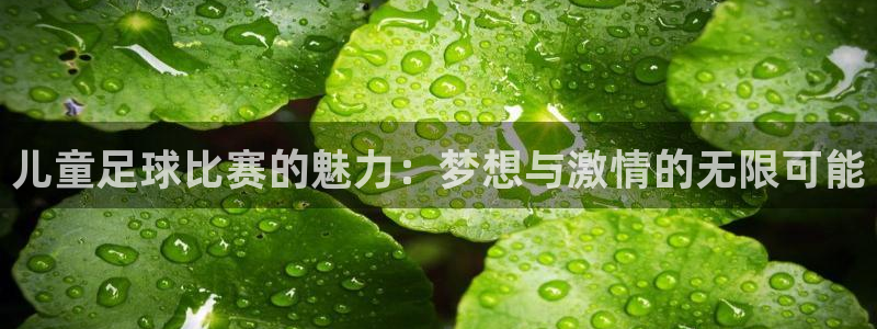 儿童足球比赛的魅力：梦想与激情的无限可能