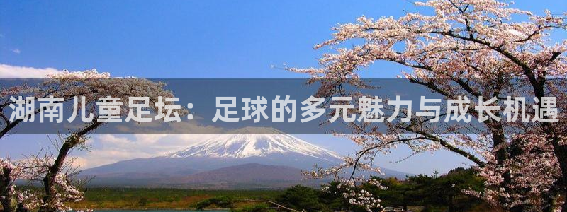 湖南儿童足坛：足球的多元魅力与成长机