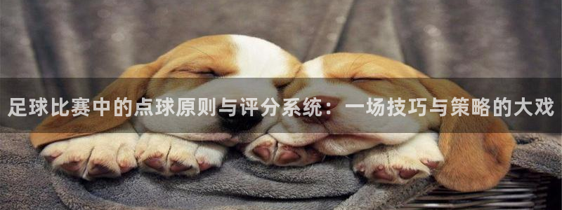  足球比赛中的点球原则与评分系统：一场技巧与策略的大戏