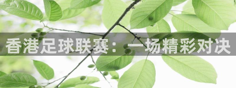 香港足球联赛：一场精彩对决
