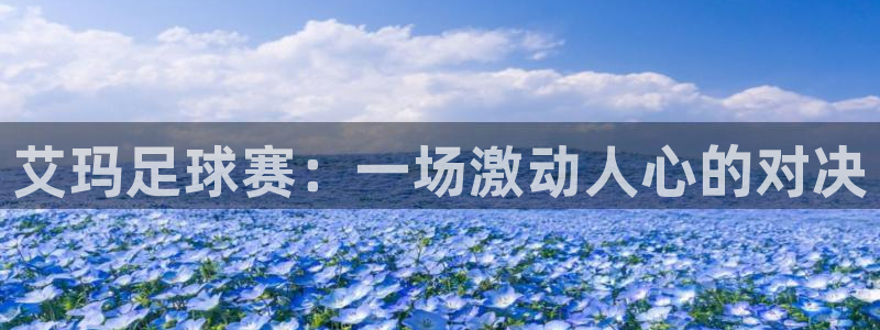 艾玛足球赛：一场激动人心的对决