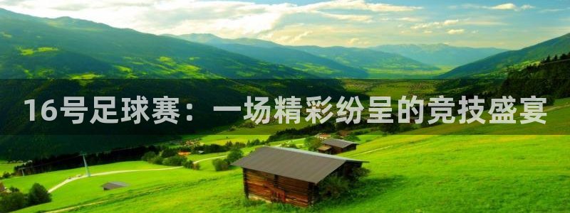 16号足球赛：一场精彩纷呈的竞技盛宴