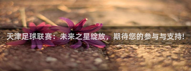 天津足球联赛：未来之星绽放，期待您的参与与支持!