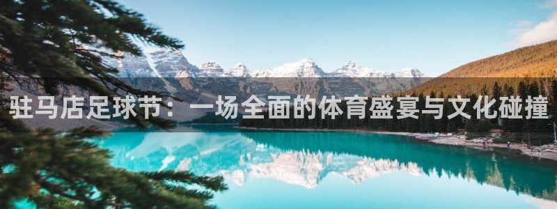  驻马店足球节：一场全面的体育盛宴与文化碰撞