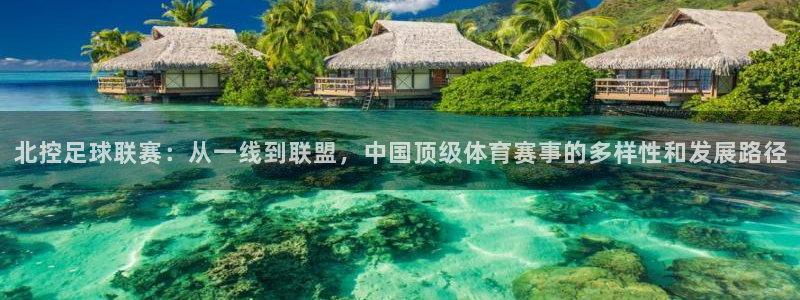  北控足球联赛：从一线到联盟，中国顶级体育赛事的多样性和发展路