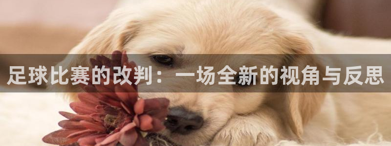  足球比赛的改判：一场全新的视角与反思