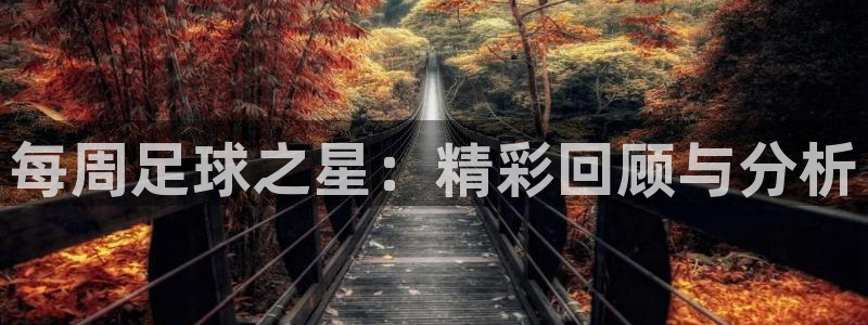 每周足球之星：精彩回顾与分析