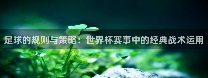 足球的规则与策略：世界杯赛事中的经典战术运用