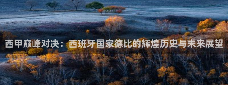  西甲巅峰对决：西班牙国家德比的辉煌历史与未来展望