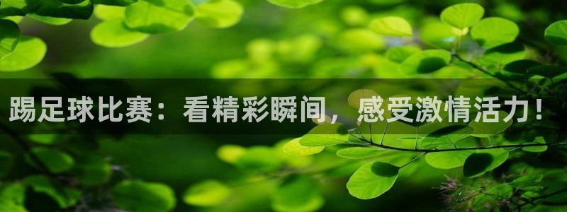  踢足球比赛：看精彩瞬间，感受激情活力！