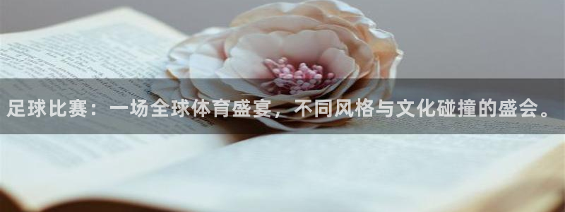  足球比赛：一场全球体育盛宴，不同风格与文化碰撞的盛会。