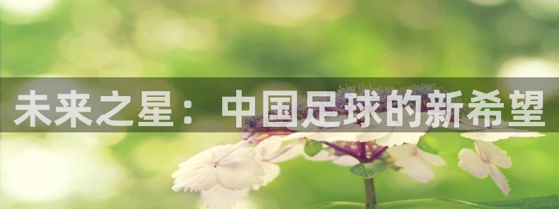  未来之星：中国足球的新希望