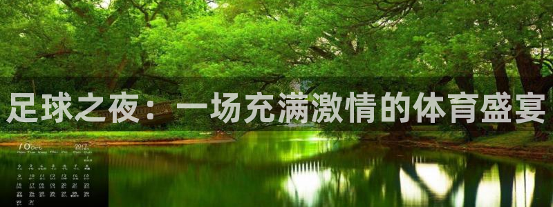 足球之夜：一场充满激情的体育盛宴