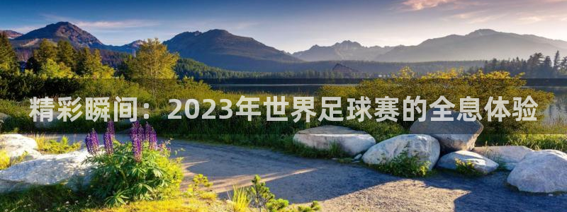  精彩瞬间：2023年世界足球赛的全息体验