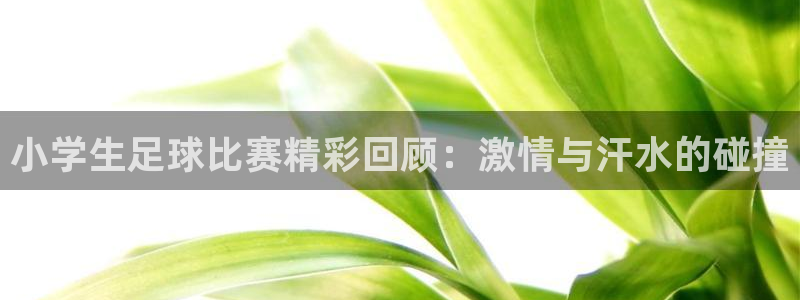  小学生足球比赛精彩回顾：激情与汗水的碰撞