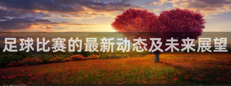 足球比赛的最新动态及未来展望