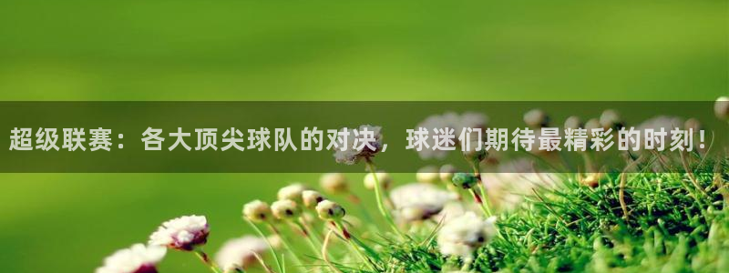 超级联赛：各大顶尖球队的对决，球迷们