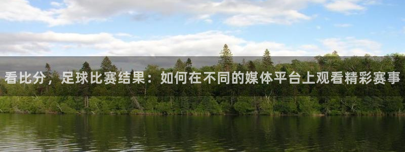 看比分，足球比赛结果：如何在不同的媒