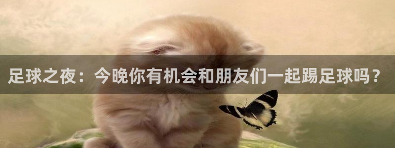 足球之夜：今晚你有机会和朋友们一起踢