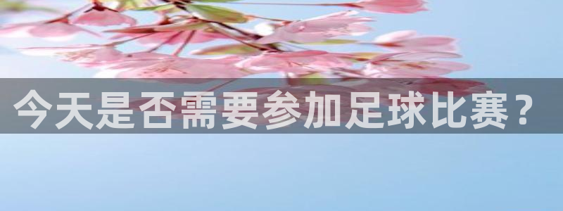 今天是否需要参加足球比赛？