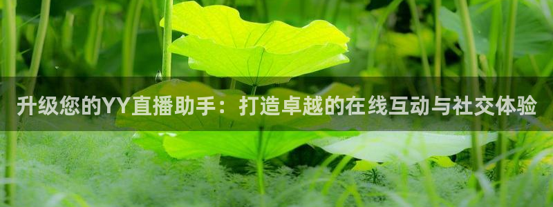 搜球体育：升级您的YY直播助手：打造卓越的在线互动与社交体验