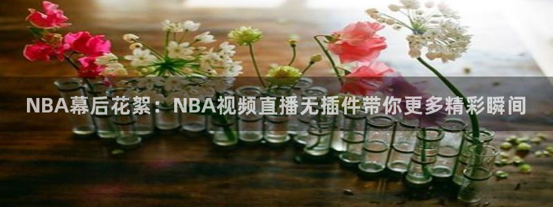 搜球吧nba视频直播：NBA幕后花絮：NBA视频直播无插件带你更多精彩瞬间