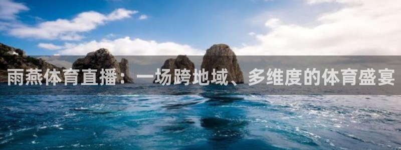 搜球8直播nba直播：雨燕体育直播：一场跨地域、多维度的体育盛宴