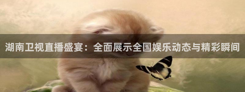 搜球吧直播网：湖南卫视直播盛宴：全面展示全国娱乐动态与精彩瞬间