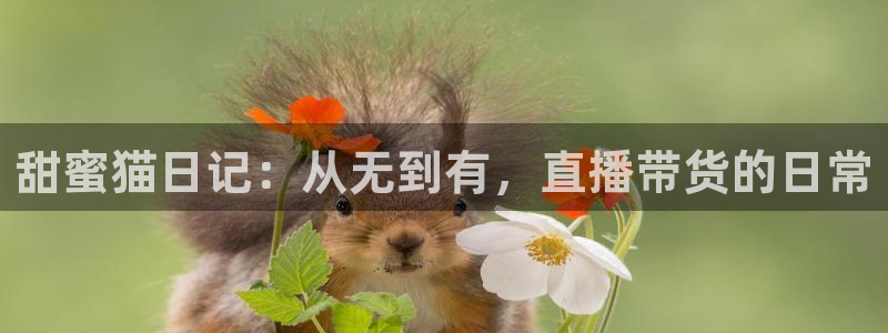 搜球吧nba视频直播：甜蜜猫日记：从无到有，直播带货的日常