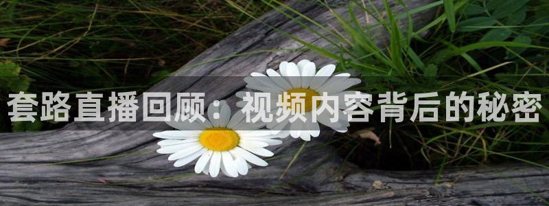 搜球吧在线直播免费观看：套路直播回顾：视频内容背后的秘密