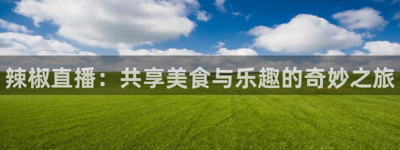 搜球吧nba在线直播