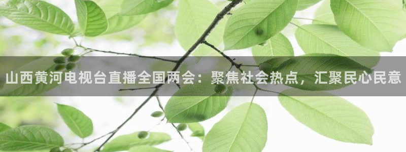 搜球吧 直播