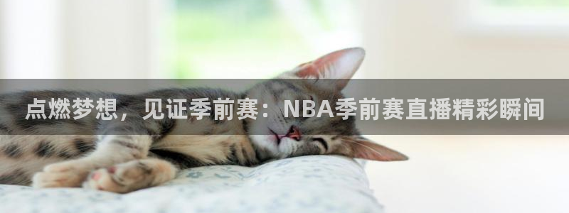 搜球吧体育直播